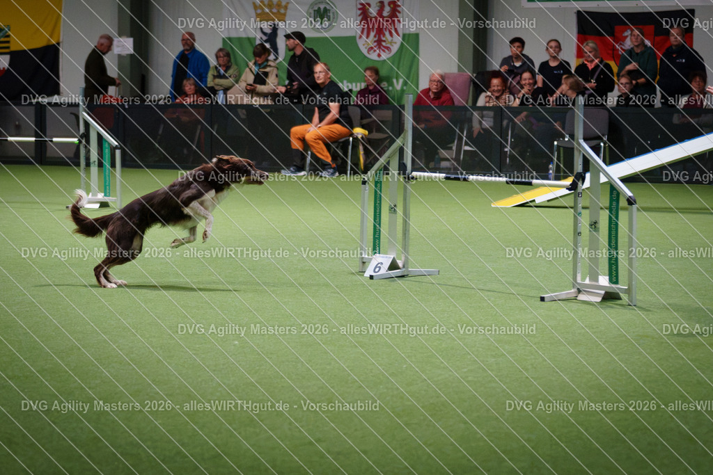 allesWIRTHgut_Tierfotografie-DVG_Agility_Masters_2026-16_59-7R509148 | Professionelle Tierfotografie in Mönchengladbach von Daniel Wirth (allesWIRTHgut). Liebevolle & natürliche Bilder von Hunden & Katzen für unvergessliche Erinnerungen.