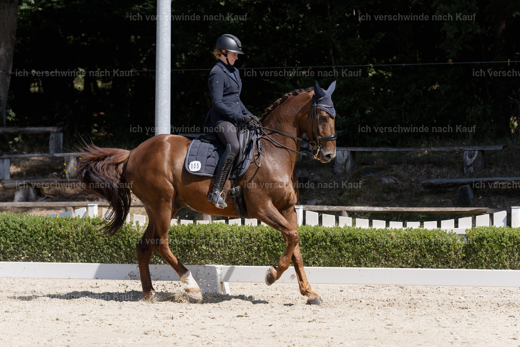 WS_DR_5_sinafilmart_IN09594 | working equitationturnier fotograf videograf stoibphotography marixx film working equitation deutschland reitsport turnierfotografie eventfotografie equestrian events