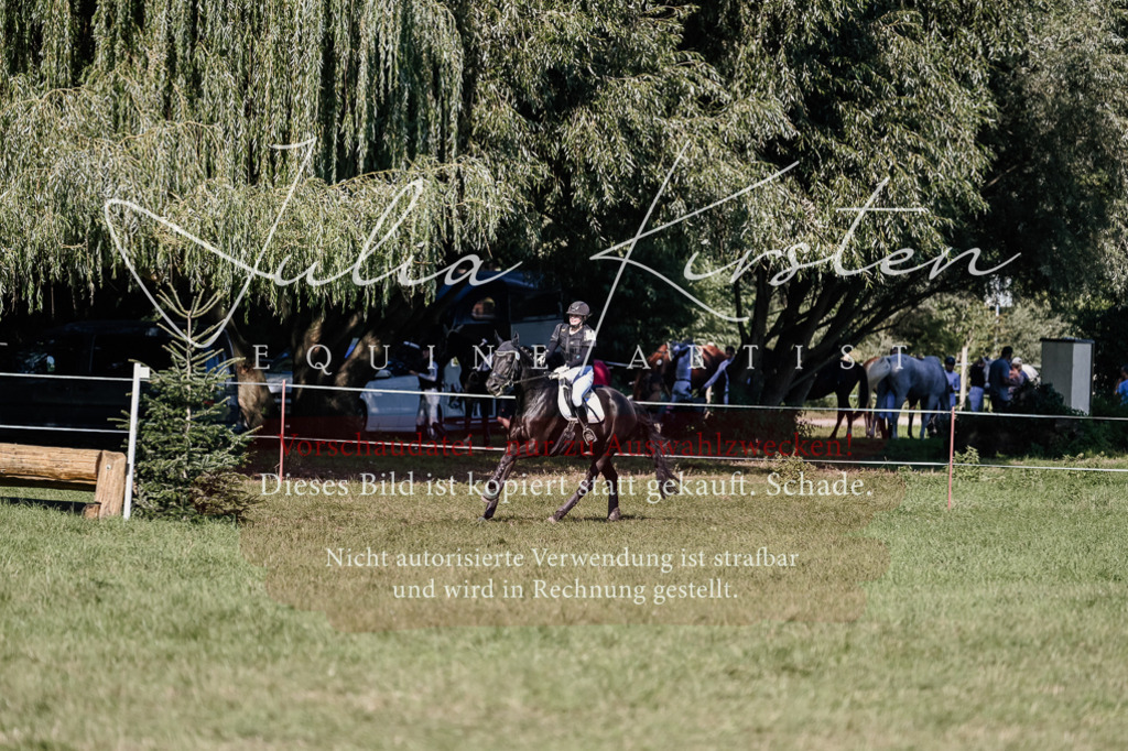 DSC_3513 | Pferde- und Turnierfotografie in Westsachsen. Pferdeportraits, Auftragszeichnungen und intuitive Kunst.