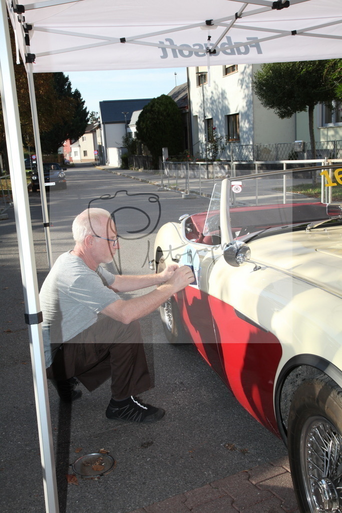 IMG_4277 | Gerhard Witt