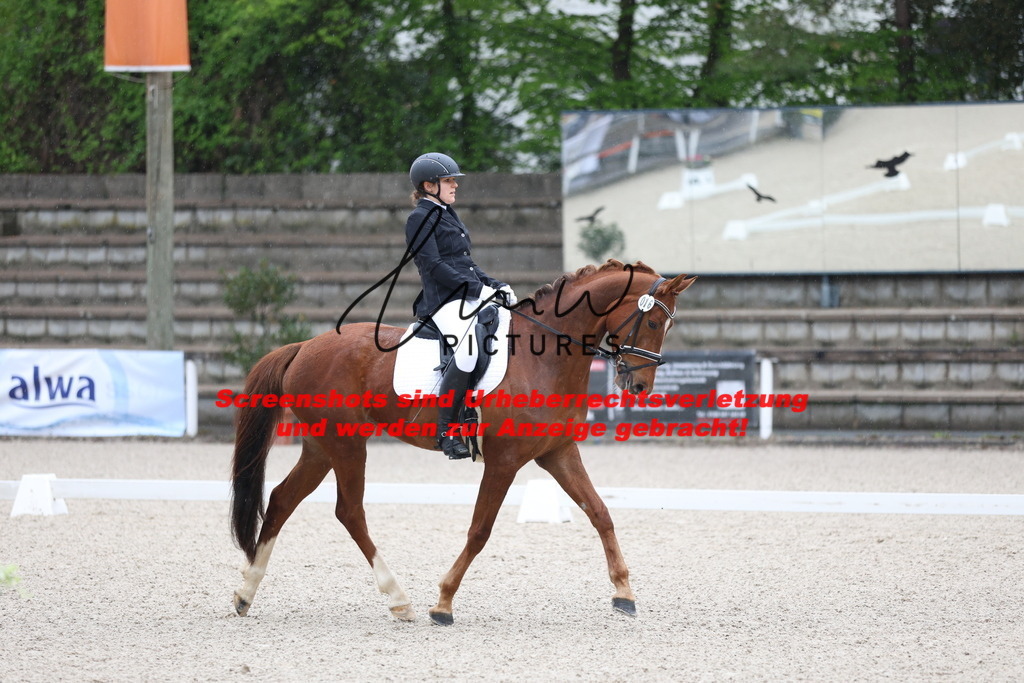 A40A7225 | lmwpictures - Realisiert mit Pictrs.com