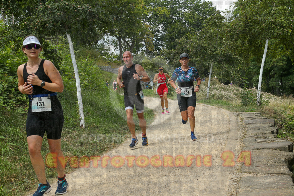 250824_1343_EX1_3407 | Sportfotografie im Rhein-Sieg Kreis, Köln, Bonn, NRW, Rheinland Pfalz, Hessen, etc. Unser Tätigkeitsfeld umfasst den Laufsport vom Volkslauf über den Marathon, Duathlon, Triathon bis zum Ultralauf wie Kölnpfad Ultra oder Schindertrail.