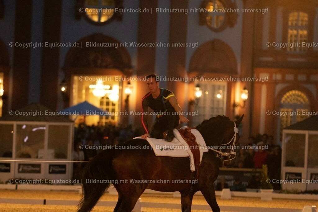 20230527_Voltigieren_NASPA_Flutlicht_0675 | equistock