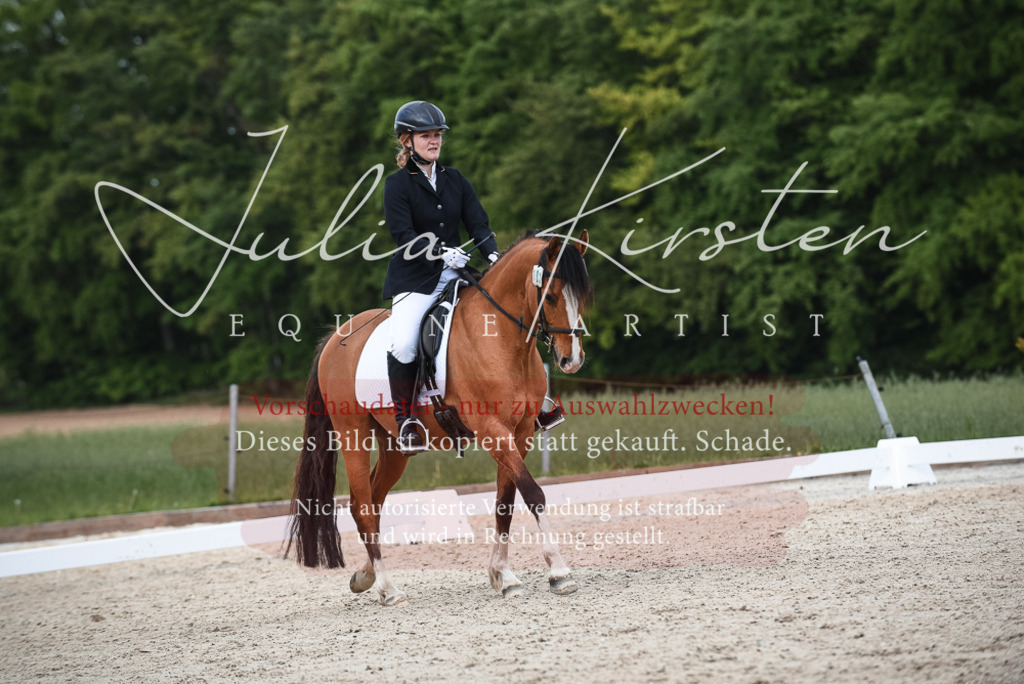 20230518_JK-Röhrsdorf-12-0625 | Pferde- und Turnierfotografie in Westsachsen. Pferdeportraits, Auftragszeichnungen und intuitive Kunst.