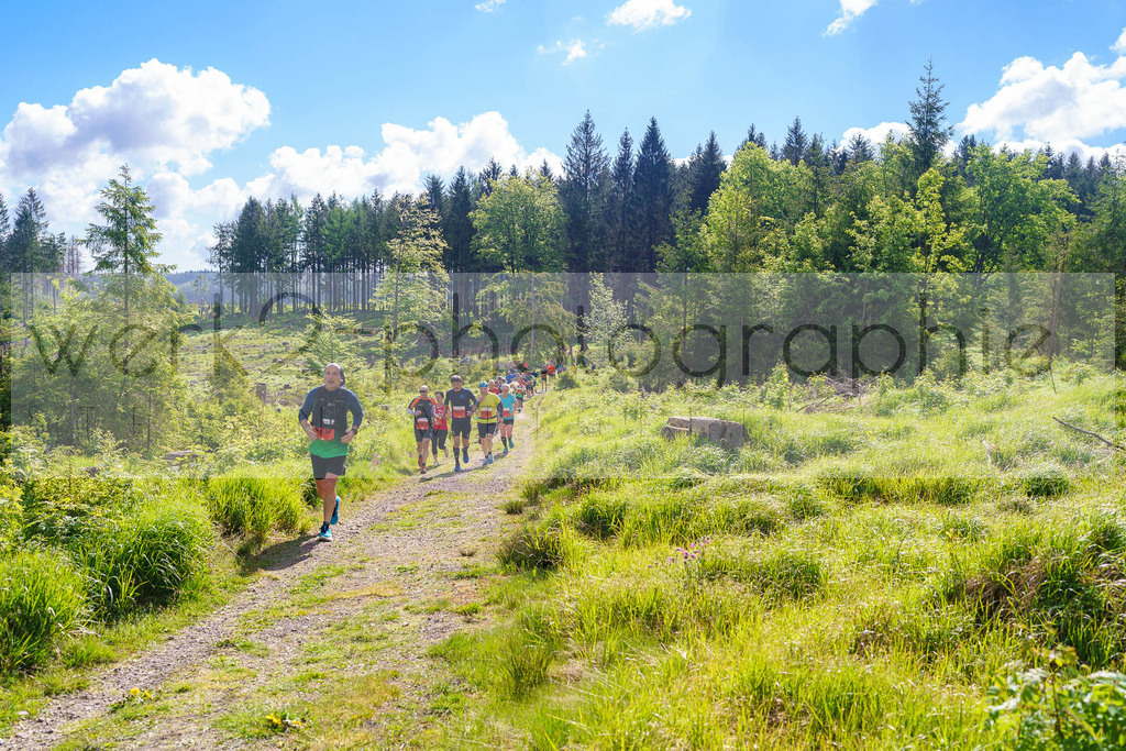 Rennsteiglauf Marathon 2025 | Marathon von Neuhaus/Rwg. nach Schmiedefeld/Rstg. am 17. Mai 2025