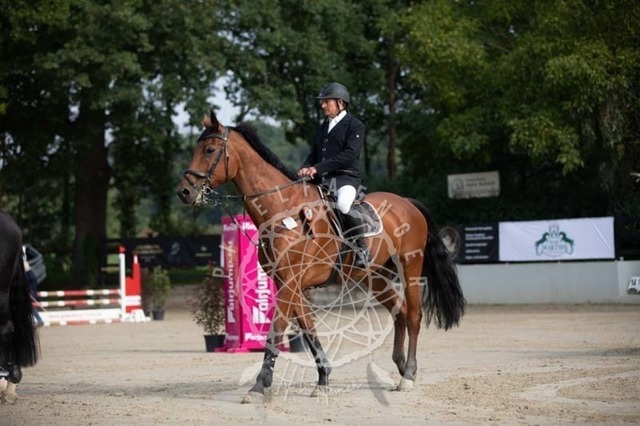 2B4A2194 | pixelfaenger - Realisiert mit Pictrs.com