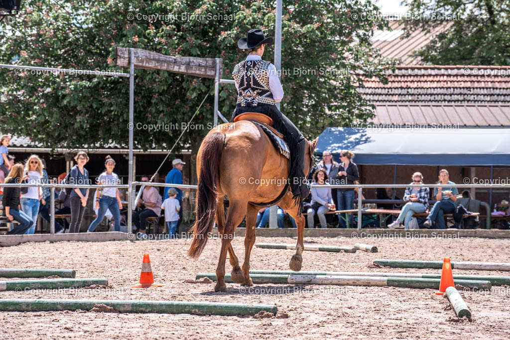 SBS00340 | BS-foto