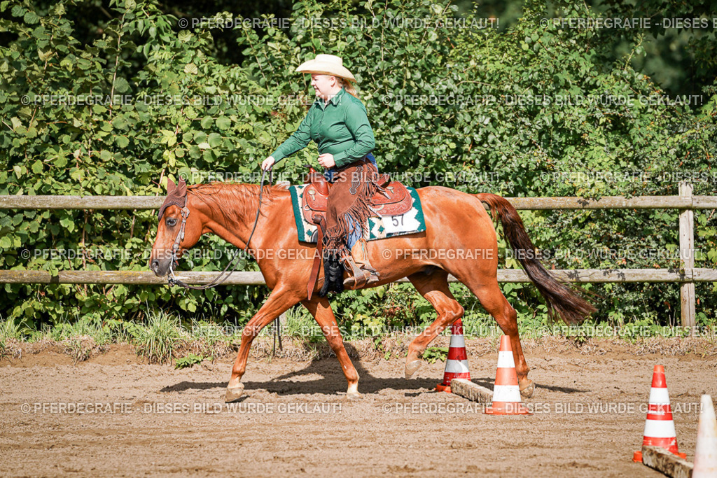 DSC00094 | Pferdegrafie