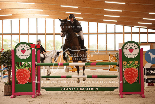 1J2A5277Susan Nörenberg_ Campari 336_ Kn057_ Glantz_ Hohen Wieschendorf | Foto- und Videografie für alles rund ums Pferd. Hochwertige Bilder und Videos vom Spring- und Dressurreiten, Voltigieren & mehr. Jetzt aktuelle Veranstaltungen und Preise im Shop ansehen. - Realisiert mit Pictrs.com