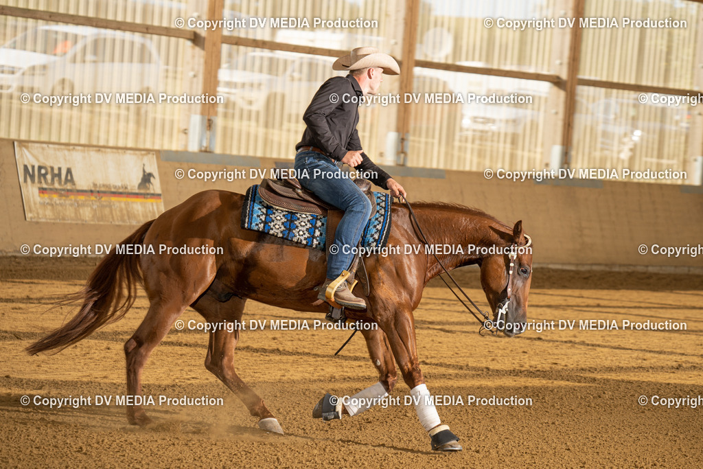 LAU01893 | dv-media-shop - Realisiert mit Pictrs.com