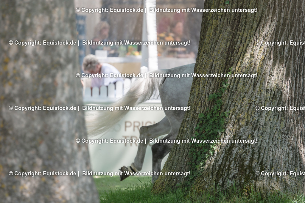 20230529_14_CSI4_Dyckerhoff_0083 | equistock