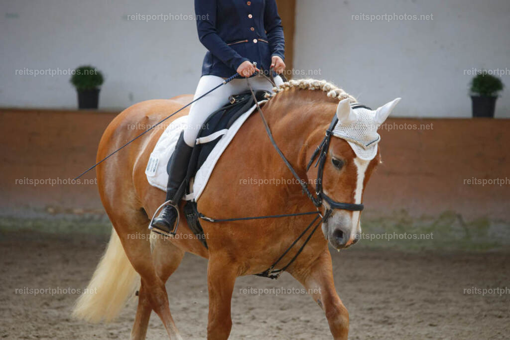 JHE_5525 | JoYa Fotografie - Realisiert mit Pictrs.com