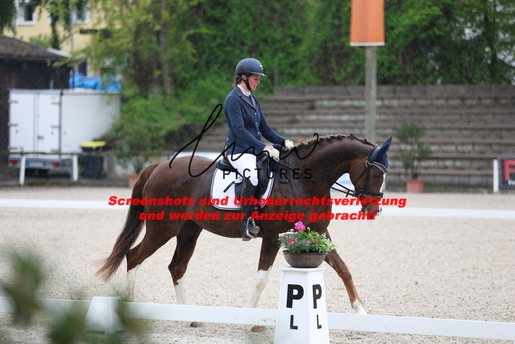 A40A7305 | lmwpictures - Realisiert mit Pictrs.com