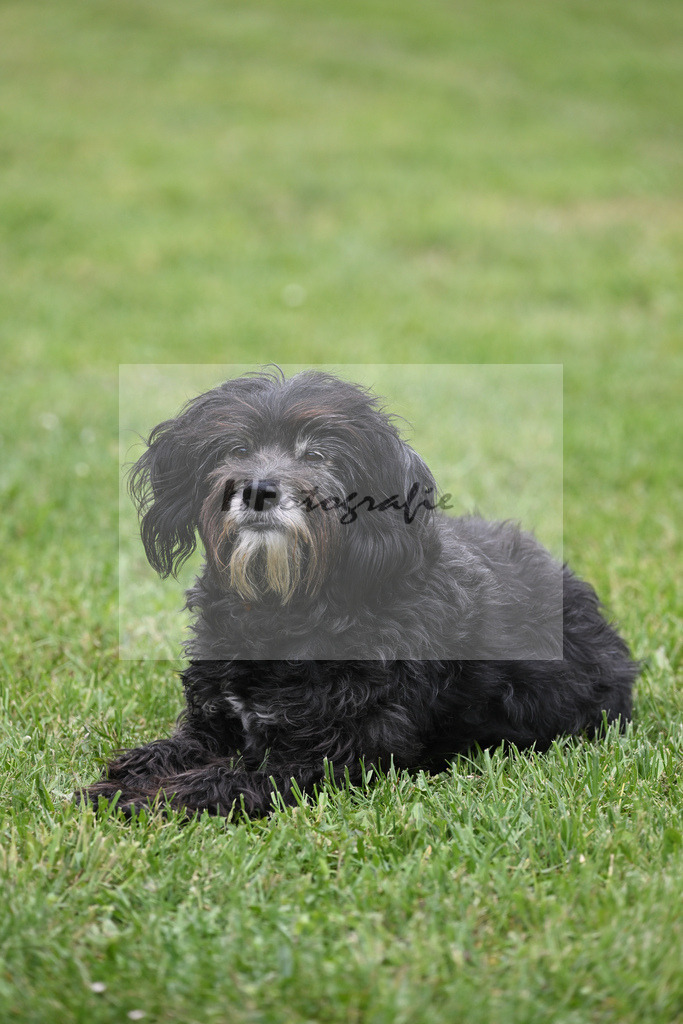 11232163 | hf-fotografie - Realisiert mit Pictrs.com