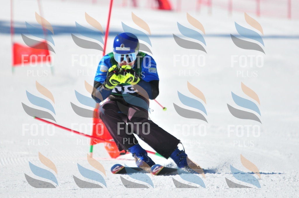 C3581 | holidayphoto