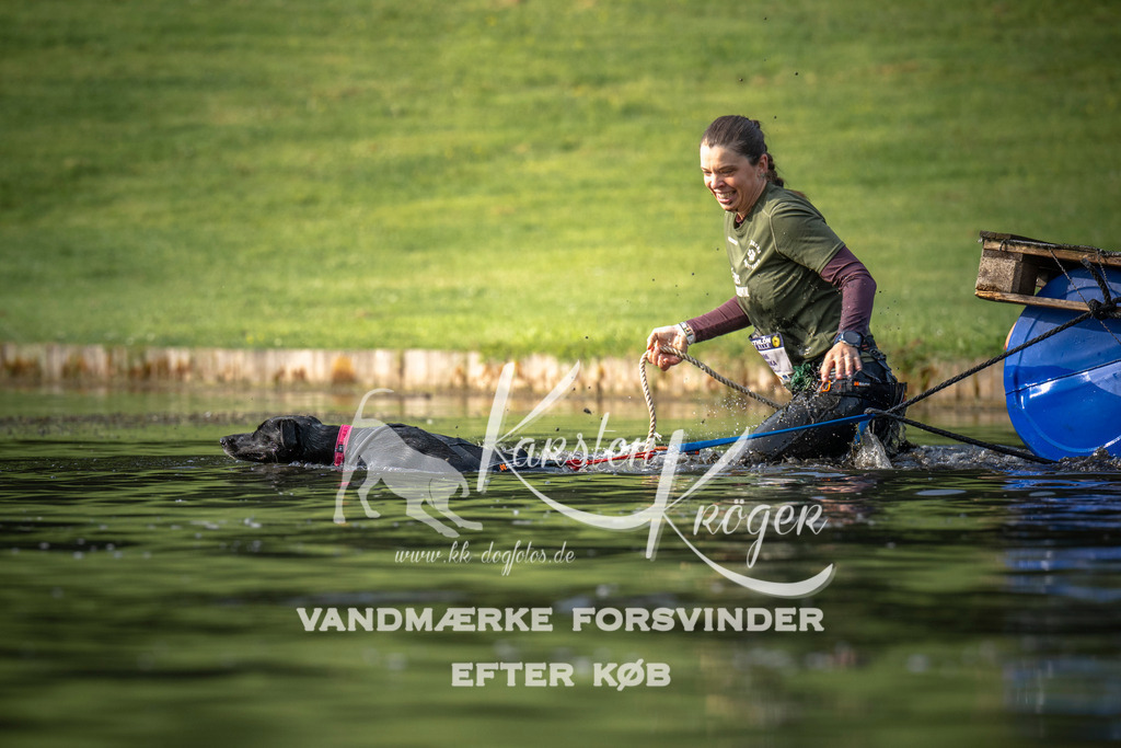 _ZZ935030705 | kk-dogfotos