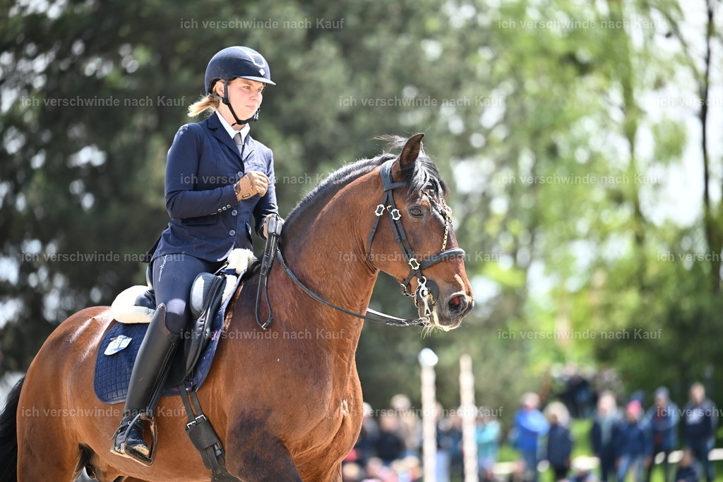 PI26_SP_Sara_Landvogt_226_5743.JPG | working equitationturnier fotograf videograf stoibphotography marixx film working equitation deutschland reitsport turnierfotografie eventfotografie equestrian events