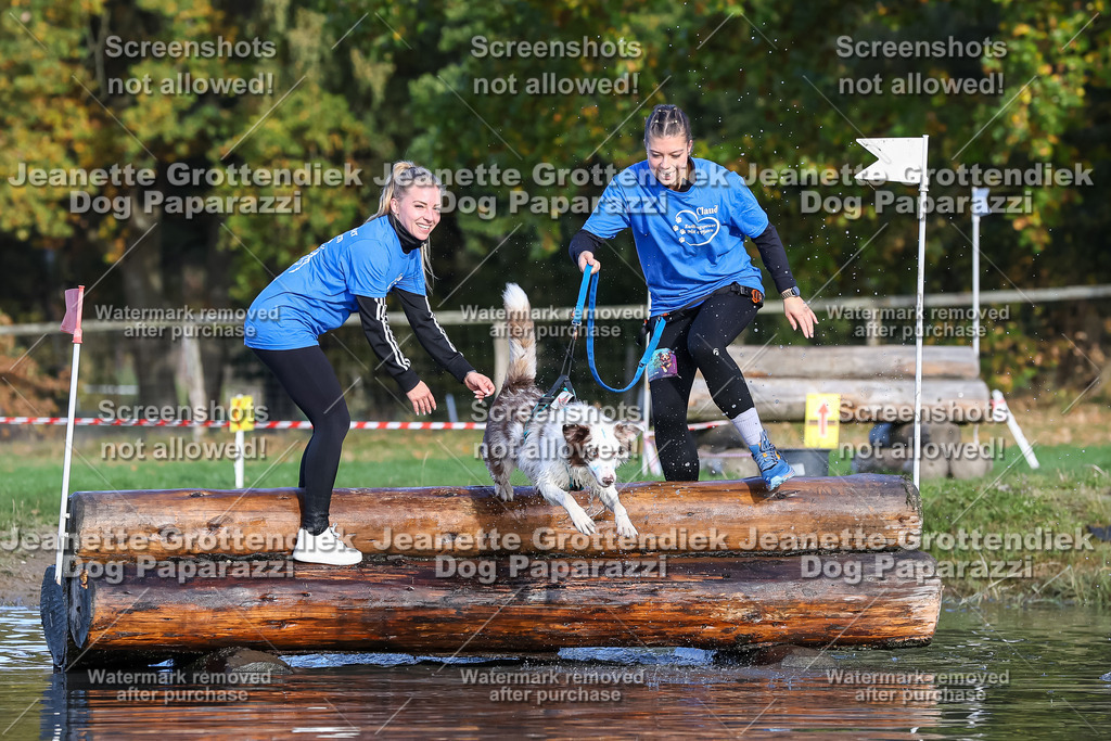Dog Paparazzi - Strongdog 10-25-8535 | Dog Paparazzi Jeanette Grottendiek Fotografie & Videografie - Realisiert mit Pictrs.com