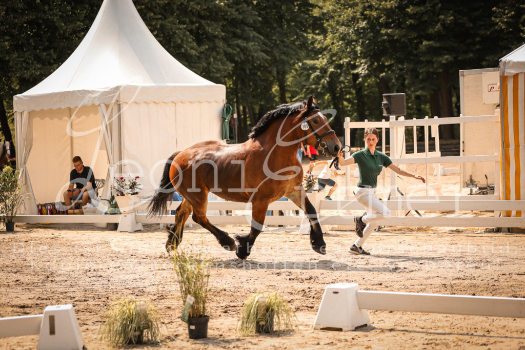 2.Sa00049 | Leoni Ertmer Photography - Realisiert mit Pictrs.com