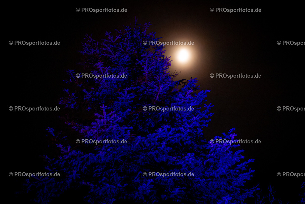 Halloween Run 2025 in Koeln, 31.10.2025 | Impressionen vom Halloween Run 2025 am 31.10.2025 in Koeln (Forstbotanischer Garten Rodenkirchen). Foto: Axel Kohring/Beautiful Sports