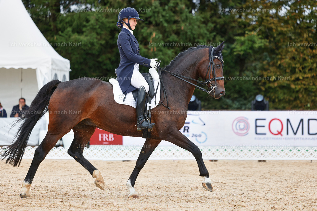 8_2-056-DRESSUR S_  -StoibPH-4412 | working equitationturnier fotograf videograf stoibphotography marixx film working equitation deutschland reitsport turnierfotografie eventfotografie equestrian events