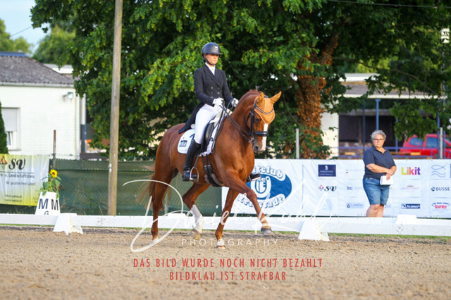 DKP41611 | Turniersportfotografie; Pferdefotografie; Dressurfotografie