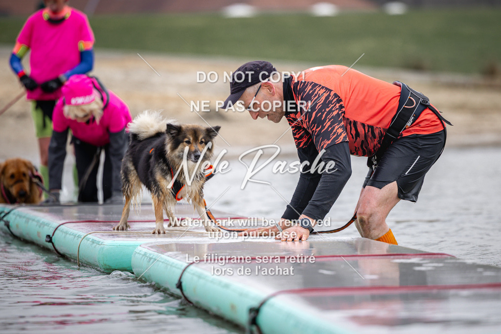 nelerasche_Hulsbeek_Sa1130-1230_503 | nelerasche