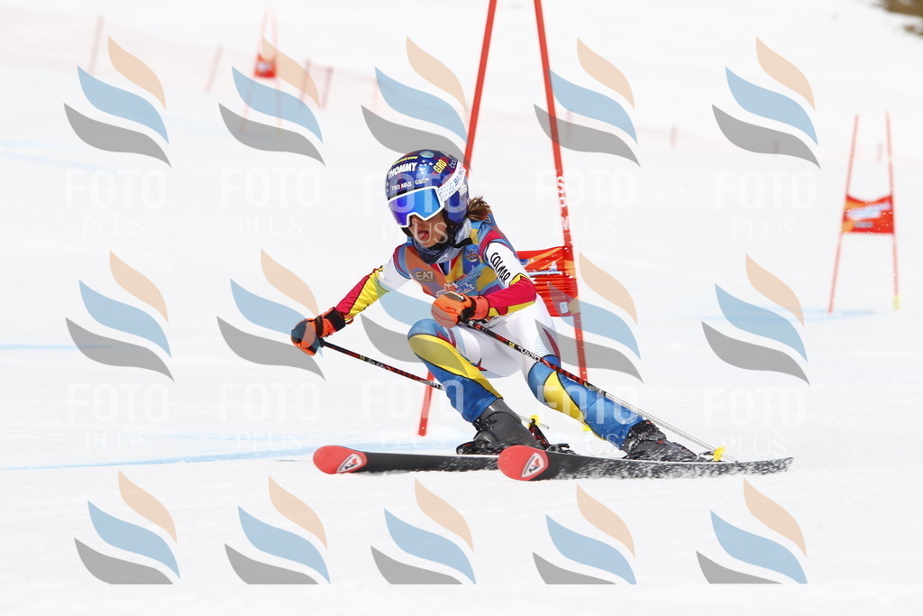 _U3G6658 | holidayphoto