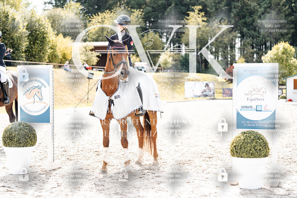 CK901002 | Turnierfotografie Pferdefotografie Trier Rheinland-Pfalz Pferdesport Reitsport Tierfotografie Sportfotografie Pferdevideo Pferdevideografie Equestrianvideography equestrianphotography  - Realisiert mit Pictrs.com