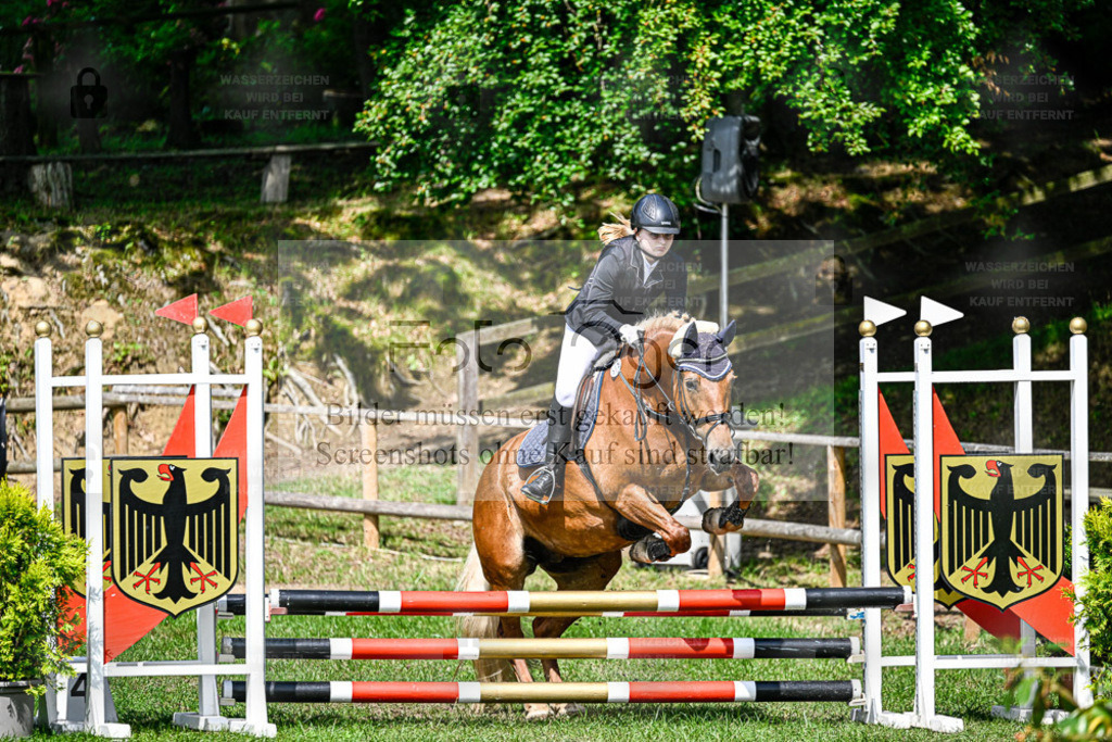 Bissendorfer Reitertage | Entdecke hochwertige Reitturnierfotos von Foto Oger. Professionell, emotional und authentisch – jetzt Lieblingsmomente im Shop bestellen. - Realisiert mit Pictrs.com