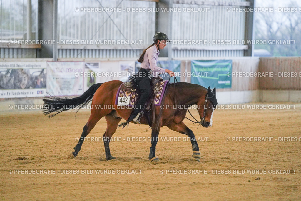 DSC09374 | Pferdegrafie