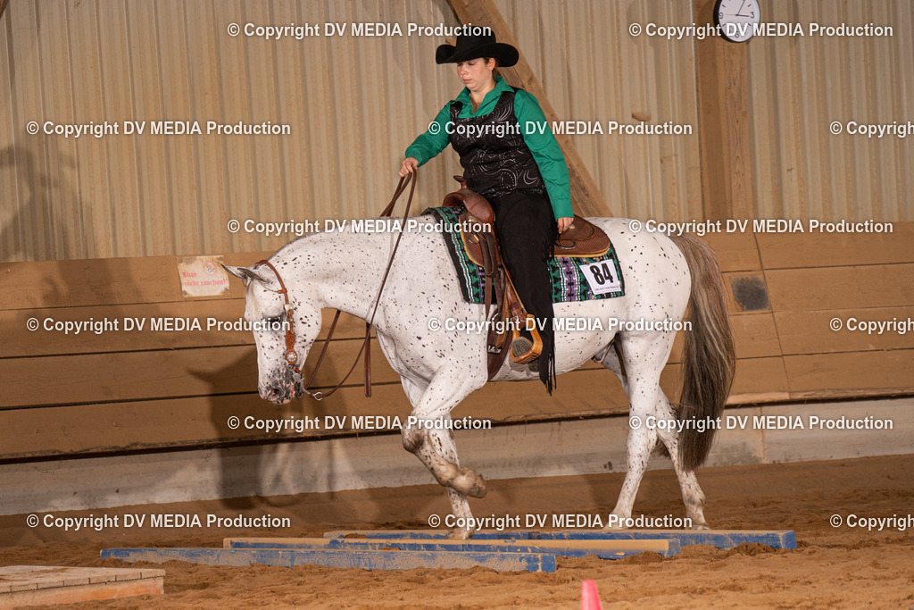 NID00675 | dv-media-shop - Realisiert mit Pictrs.com