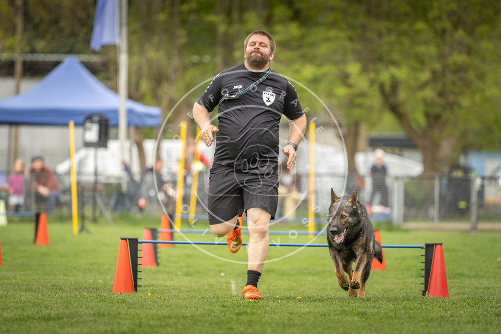Pfotenfotografie_DV3A0721 | Hundefotografie, Tierfotograf, Pfotenfotografie, Fotoshooting Hund, Hunde Portrait, Hundesport, Hundeportraits, Heideshooting, Hunde, Sportfotograf, Hundefotograf, Turnierhundsport, THS,  - Realisiert mit Pictrs.com