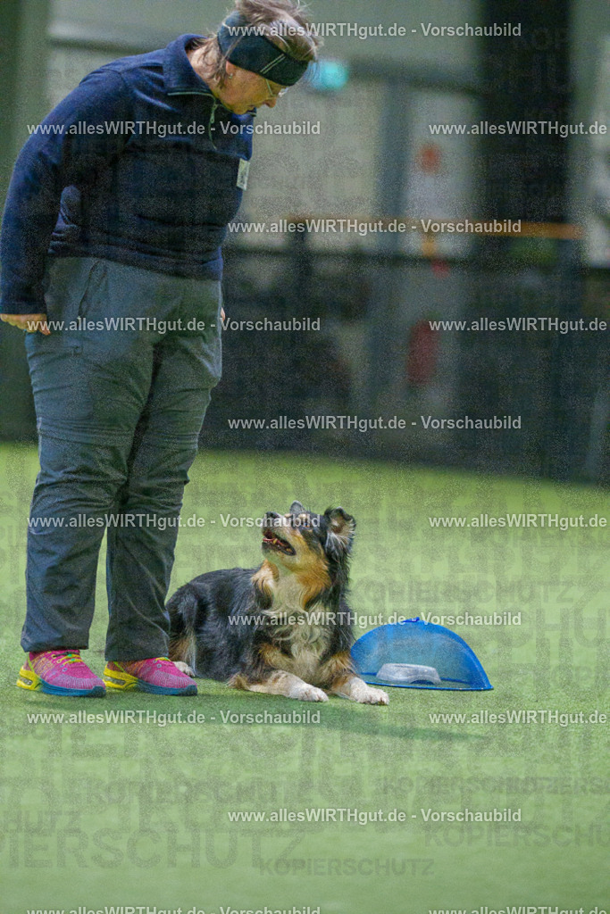 7R504288 | Professionelle Tierfotografie in Mönchengladbach von Daniel Wirth (allesWIRTHgut). Liebevolle & natürliche Bilder von Hunden & Katzen für unvergessliche Erinnerungen.