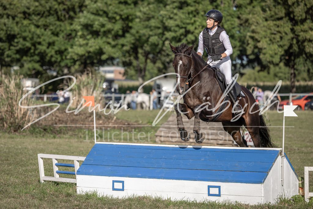20250907-_3LI8825 | Tierfotografie Pferde, Hunde, Katzen, Haustiere.
Turnierfotografie Reitturniere, Reiten, Springreiten, Dressur in Hanau, dem Main-Kinzig-Kreis und dem Rhein-Main- Gebiet um Frankfurt