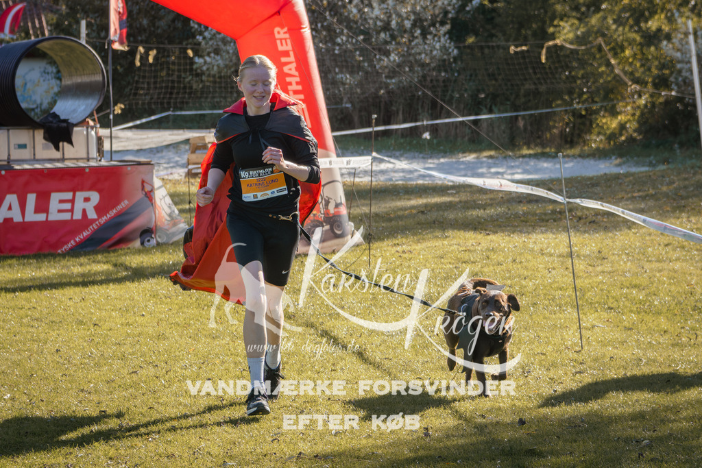 1210_ZZ94750 | kk-dogfotos