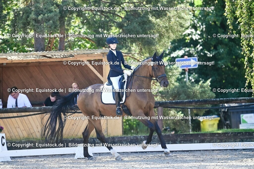 20230908_06_Dressur-L-Trense_0310 | equistock