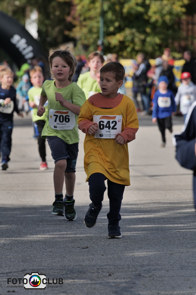 P1039174 | Foto Buchgraber