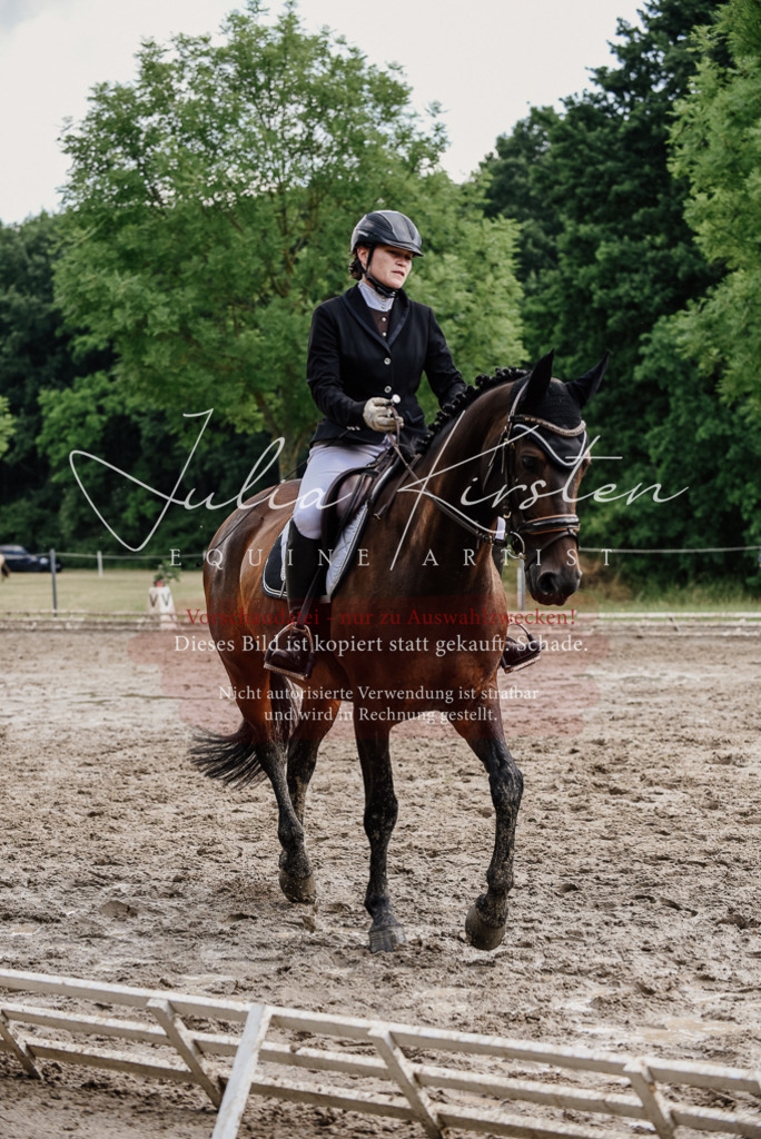DSC_0774 | Pferde- und Turnierfotografie in Westsachsen. Pferdeportraits, Auftragszeichnungen und intuitive Kunst.