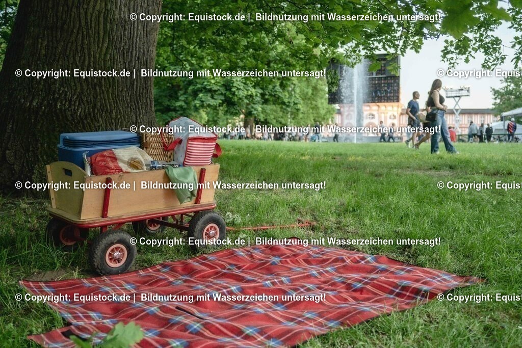 ZFC_4168 | equistock