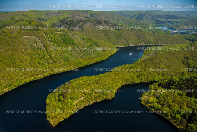 Schleiden240501982Eifel_Urfttalsperre | Luftbild, Fluss Rur und Urfttalsperre Urftsee, Ausflugsboot SeenSucht mit Gästen, Waldgebiet Hügel und Täler mit Waldschäden Nordeifel Nationalpark Eifel, Rurberg, Simmerath, Nordrhein-Westfalen, Deutschland