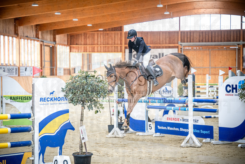 DOS_0032 | Entdecke hochwertige Reitturnierfotos von Foto Oger. Professionell, emotional und authentisch – jetzt Lieblingsmomente im Shop bestellen.Deutschlandweite Turnierfotografie. - Realisiert mit Pictrs.com