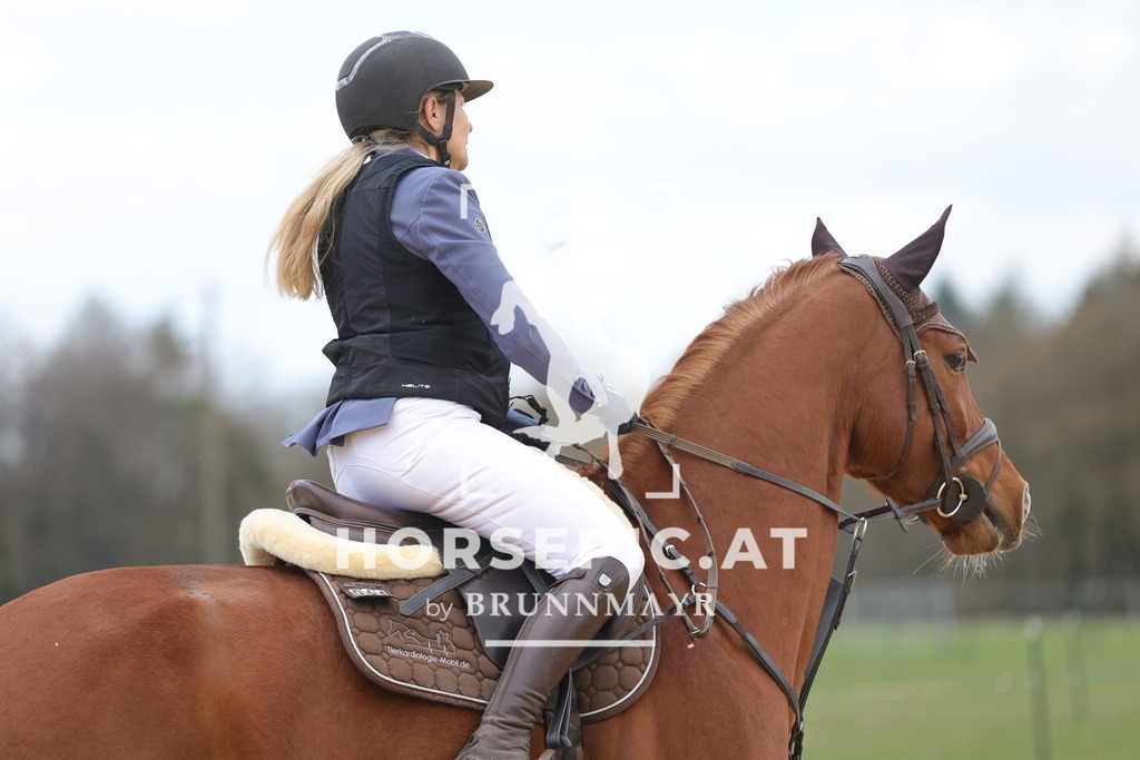 0P6A8047 | Willkommen bei Brunnmayr - Design & Fotografie – Ihrem Spezialisten für Reitturniere und Pferdeveranstaltungen in Oberösterreich, Salzburg und Bayern! Seit über 17 Jahren sind wir leidenschaftlich dabei.