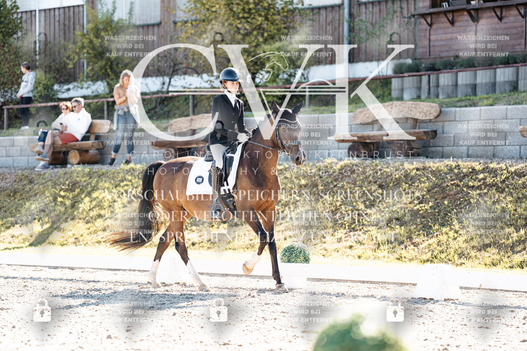 CK908580 | Turnierfotografie Pferdefotografie Trier Rheinland-Pfalz Pferdesport Reitsport Tierfotografie Sportfotografie Pferdevideo Pferdevideografie Equestrianvideography equestrianphotography  - Realisiert mit Pictrs.com