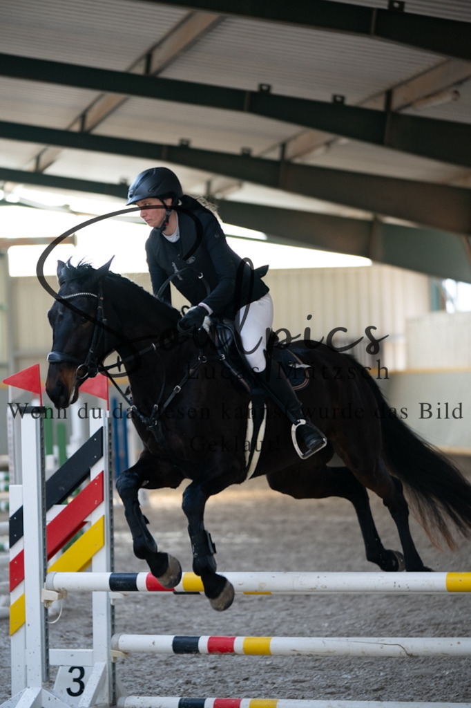 A7V07730 | Pferdefotograf