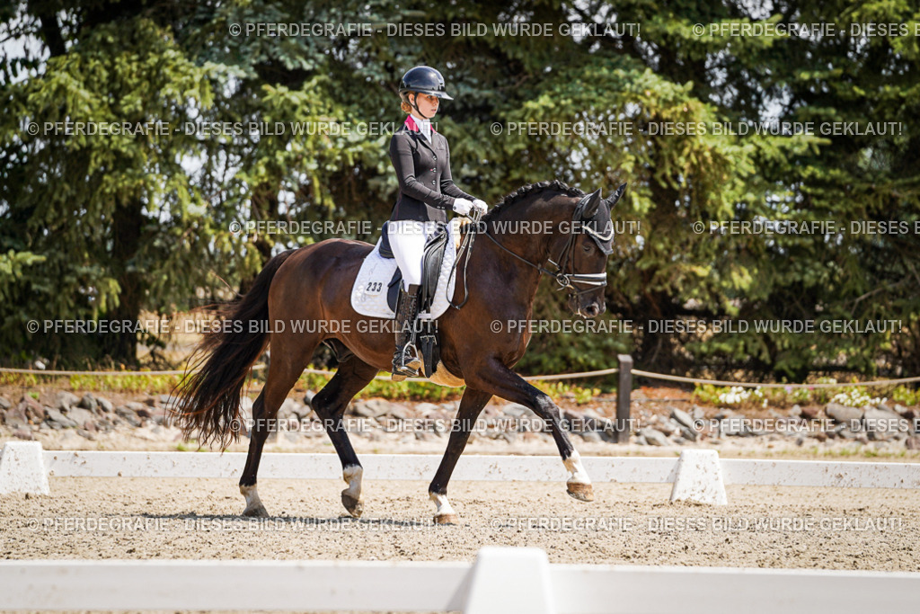 DSC01538 | Pferdegrafie