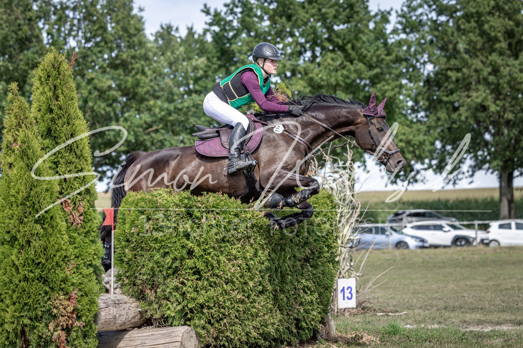 20250907-_3LI0707 | Tierfotografie Pferde, Hunde, Katzen, Haustiere.
Turnierfotografie Reitturniere, Reiten, Springreiten, Dressur in Hanau, dem Main-Kinzig-Kreis und dem Rhein-Main- Gebiet um Frankfurt