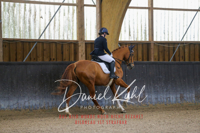 IMG_0061 | Turniersportfotografie; Pferdefotografie; Dressurfotografie