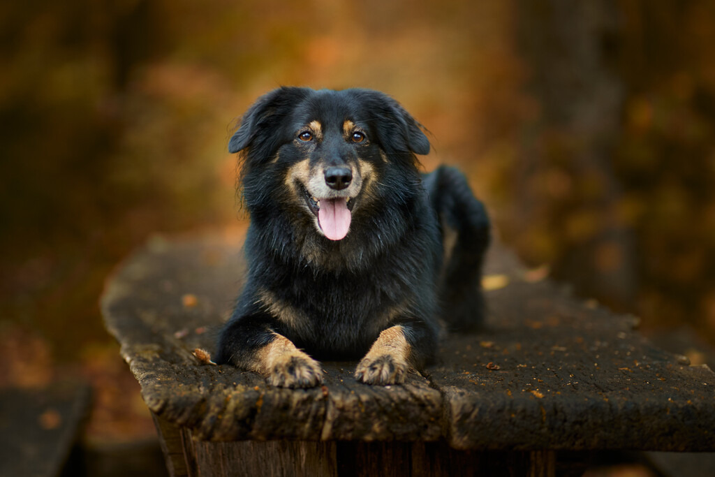 580A3795 | Peter Fridle Fotografie - Realisiert mit Pictrs.com