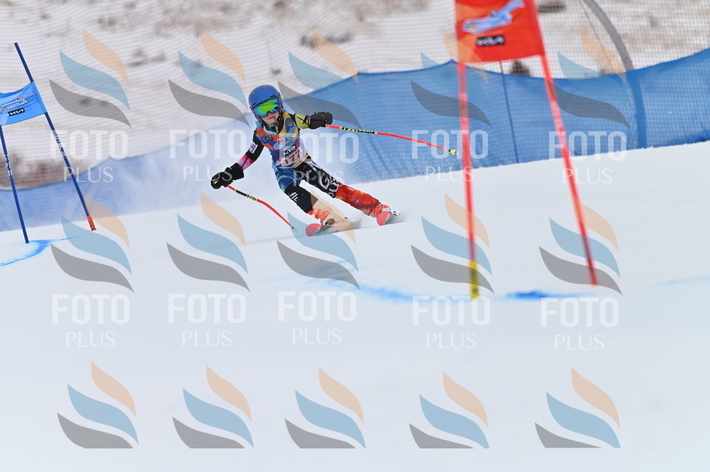 BGV_0937 | holidayphoto